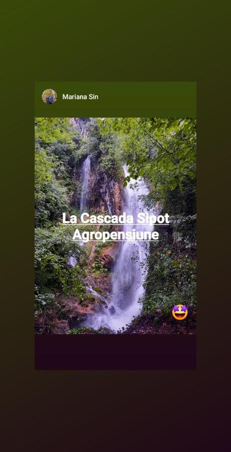 La Cascada Sipot Vila Merisor Exterior foto